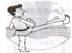 answer_image